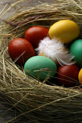 Natural easter eggs in hay
