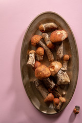 Forest cep mushrooms