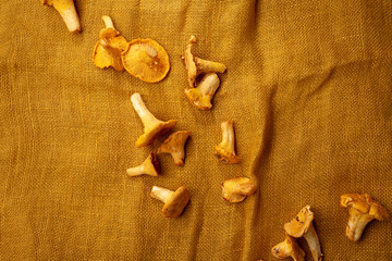 Fresh yellow chanterelles