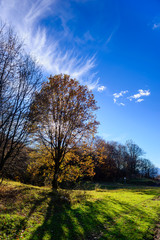 Obraz premium Beautiful forest landscape with amazing clouds, Armenia