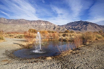 Artesian Spring In Desert