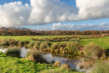 Fields and a Stream in Lewes, During Winter © lemanieh