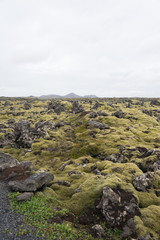 Lavafeld bei der „blauen Lagune“ (Bláa Lónið) - Island 