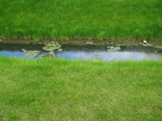 small river photo, stream
