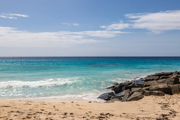 Fototapeta na wymiar The turquoise sea and sandy beach on the island of Barbados