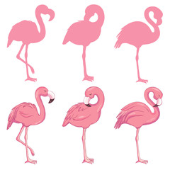 Flamingo illustration, flamingo set vector