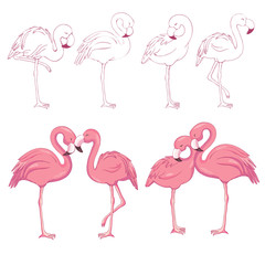 Sketched flamingos vector
