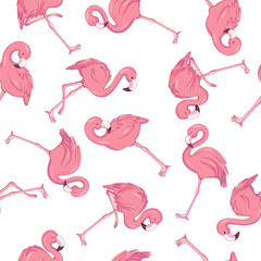 Tropical flamingo pattern