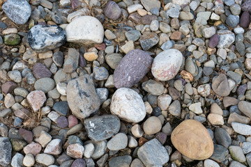 rocks