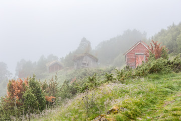 Nebellandschaft in Norwegen