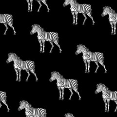 Fototapeta na wymiar zebra pattern, kid safari print