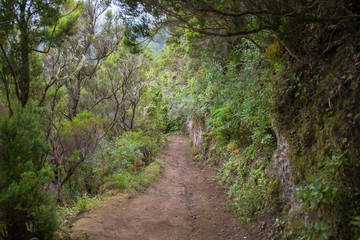 Fototapeta na wymiar Camino hacia Chinamada, macizo de Anaga, Tenerife