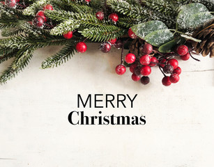 Mistletoe background and Merry Christmas Text