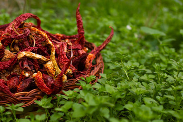 Natural red hot dry chili pepper in basket