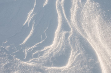 Wind sculpted patterns on snow surface.