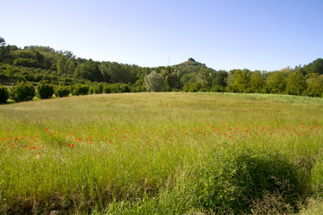 Panorami delle Langhe