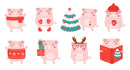 Creative collection of cute winter pigs for New 2019 Year