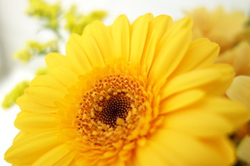 Summer flowers abstract background