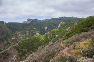 Fototapeta na wymiar Camino de Chamorga a Roque Bermejo, Tenerife