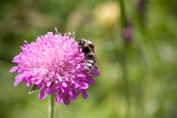 Lago del Brugneto, Liguria