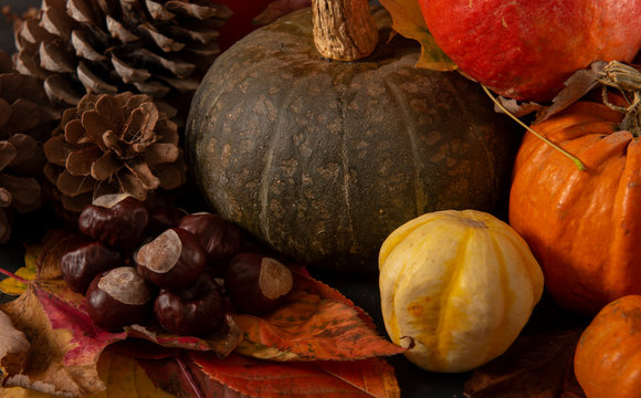 Fall background image of multiple colourful pumpkins, leaves and conkers