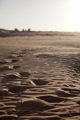 Desert footprints