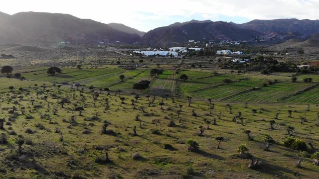 Almer&iacute;a. Vista a&eacute;rea de de una ladera con &aacute;rboles y un pueblo al fondo. La escena avanza desde la colina hasta el pueblo con las monta&ntilde;as al fondo.