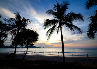 Fototapeta na wymiar Palm trees on Patong beach during sunset.