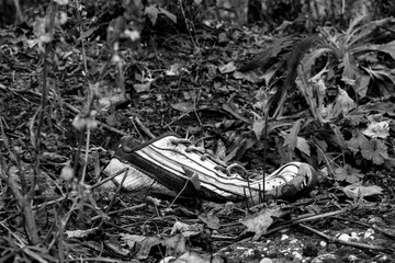 Right Shoe