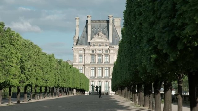 Camera tracking left view through rows of trees to the Ecole du Louvre on the Terrasse du Bord de l'Eau near Tuileries Garden in Paris, France