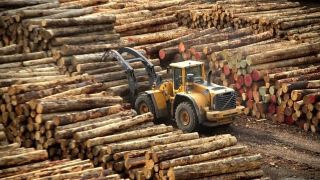 Lumberyard in Picton harbor and log grabbers loading timber on cargo ships South Island New Zealand