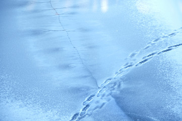 Human footprints on the surface of a frozen pond. Winter lake. Dangerous thin cracked ice
