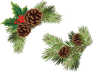 Vector Christmas tree branch with pine cones and mistletoe