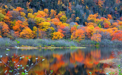 Autumn tree reflections in Parc de la national Jacques Cartier