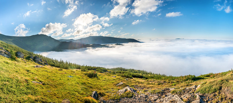 Panorama of green mountains in the clouds. Landscape view on green hills in fog at sunset