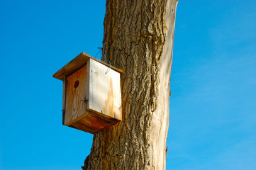 A simple, wooden nesting box on a tree trunk against a blue sky.