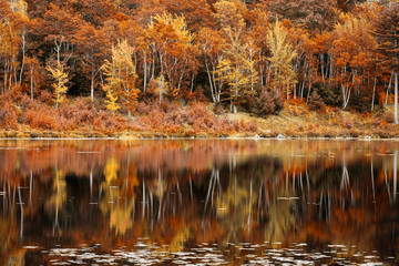 Fall foliage reflection in Jordan Pond, Acadia National Park, Maine
