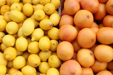 Many yellow shining organic lemon and oranges  on market light background pattern