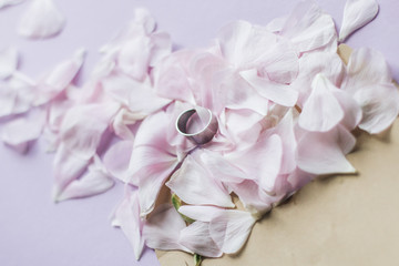 Petals of tender pink flowers and ring on pink background