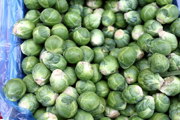 Lots of green fresh organic Brussels sprouts on the counter of the farmer's market pattern background