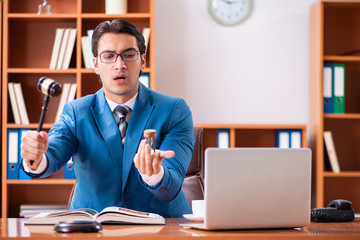 Lawyer working in the office