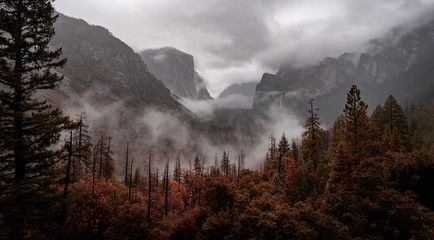 Yosemite National Park with panoramic view at the Yosemite Tunnel View point