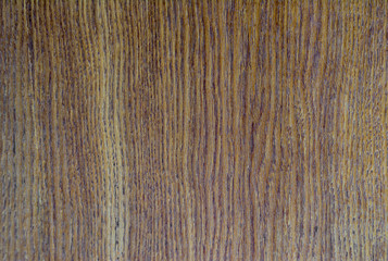The texture of the old pine. Wood texture.