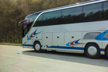 Tourist Bus is moving along a country road along the forest © Yuri Bizgaimer