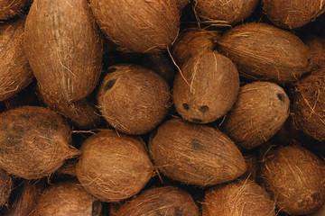 Pile of coconuts, tropical fruits background