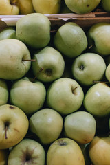 Pile of fresh ripe green apples in boxes at market