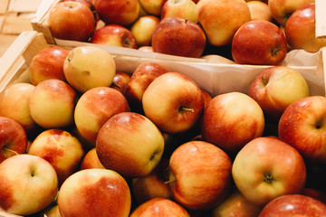 Pile of fresh ripe red apples