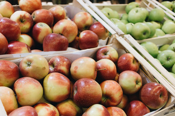 pile of fresh ripe green apples in boxes at market