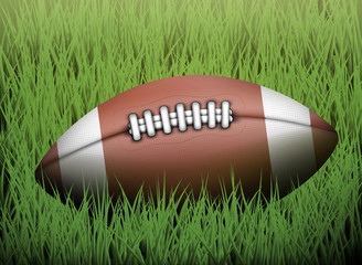 American football ball on grass