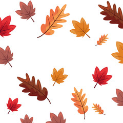 autumn leaves foliage decoration background